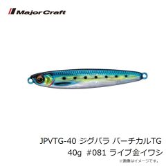 メジャークラフト　JPVTG-40 ジグパラ バーチカルTG 40g #081 ライブ金イワシ
