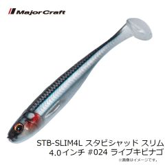 メジャークラフト STB-SLIM3.5L スタビシャッド スリム 3.5インチ #025 ライブドジョウ 