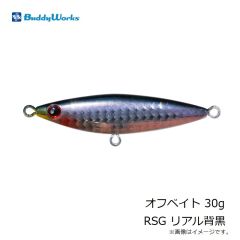 バディーワークス　オフベイト 30g RSG リアル背黒