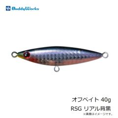 バディーワークス　オフベイト 40g RSG リアル背黒