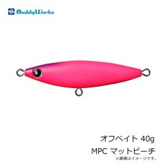 バディーワークス　オフベイト 30g RSG リアル背黒