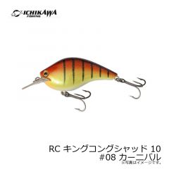 RC キングコングシャッド 10 #02 バンブー
