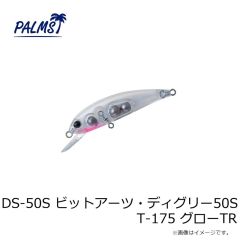 パームス　DS-50S ビットアーツ・ディグリー50S T-175 グローTR