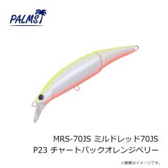 パームス　FB2-80SP フレッシュバック80SP TR-274 モロコ