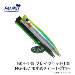 パームス　BKH-135 ブレイクヘッド135 MG-10 イワシ