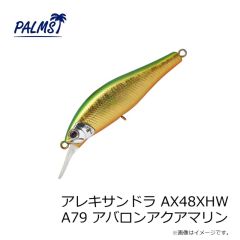 NTスイベル   コーク付ヘビー(ミガキ) R-50 9