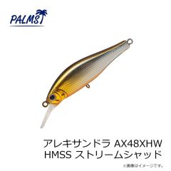 NTスイベル   コーク付ヘビー(ミガキ) R-50 9