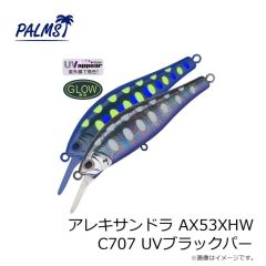 パームス　アレキサンドラ AX48XHW P266 パールヤマメ