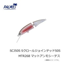 パームス　SCJ50S Sクロールジョインテッド50S MTR268 マットアンモシーテス