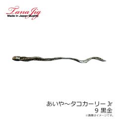 タナジグ　あいや～タコカーリーJr 9 黒金