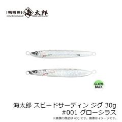 一誠　海太郎 スピードサーディン ジグ 30g #001 グローシラス