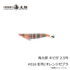 一誠　海太郎 キビ仔 2.5号 #016 虹布/オレンジゼブラ