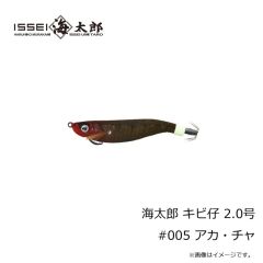 ウィップラッシュ　ライヴワイア L515GLG Chartreuse Gold Pearl Wing
