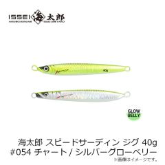 一誠　海太郎 スピードサーディン ジグ 40g #054 チャート/シルバーグローベリー