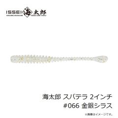 一誠　海太郎 スパテラ 2インチ #066 金銀シラス