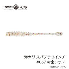 一誠　海太郎 スパテラ 2インチ #067 赤金シラス