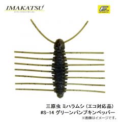 イマカツ    三原虫 ミハラムシ (エコ対応品)　#S-14 グリーンパンプキンペッパー