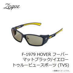 ゼクー　F-2051 LOOF ルーフ アイアングレー トゥルービュースポーツ (TVS)