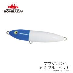 カミワザ　フィッシュキャリーバッグ ベーシック 大物用 ブルー