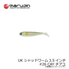 マルジン　ユーケー シャッドワーム 3.5インチ UK シャッドワーム リアルカラー UKSW-12　#25 RG アカキン 釣具 通販 FTO フィッシング タックル オンライン marujin 嶋田 仁正