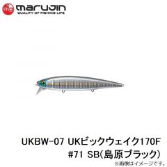 マルジン　UKBW-07 UKビックウェイク170F #71 SB(島原ブラック)