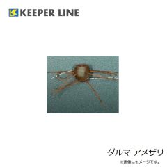 キーパーライン　ダルマ ウォーターメロン