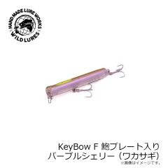 ジグリップ　アメノウオ 210g #008 ホロミラーPG