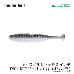 一誠　キャラメルシャッド 5インチ TS01 腹えびネオン(谷山オリカラ)