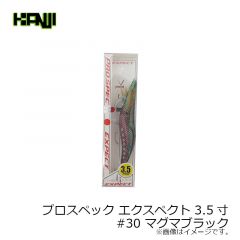カンジインターナショナル　プロスペック エクスペクト 3.5寸 #30 マグマブラック