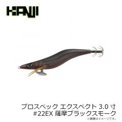 カンジインターナショナル　プロスペック エクスペクト 3.0寸 #22EX 薩摩ブラックスモーク