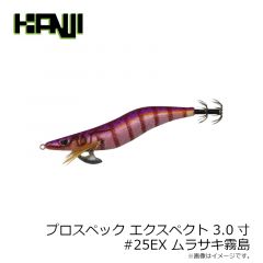 カンジインターナショナル　プロスペック エクスペクト 3.0寸 #25EX ムラサキ霧島