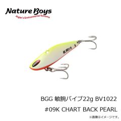 ビッグオーシャン　BGG 敏腕バイブ15g BV1015 #01K MAIWASHI