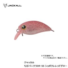 ジャッカル　ティモン　ちびパニクラ DR-SS　ショボクレレッドグロー　ルアー　クランク