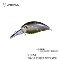 ジャッカル　ティモン　ちびパニクラ DR　ダイゴマジョグロー　ルアー　クランク