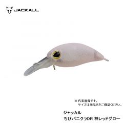 ジャッカル　ティモン　ちびパニクラ DR　神レッドグロー　ルアー　クランク