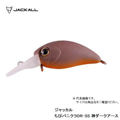 ジャッカル　ティモン　ちびパニクラ DR-SS　神ダークアース　ルアー　クランク