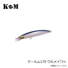 KM工房　テールム170 イワシ