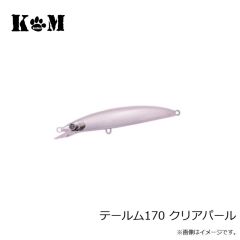 KM工房　テールム170 イワシ
