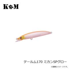KM工房　テールム170 イワシ