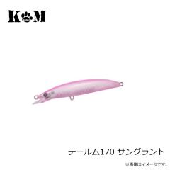 KM工房　テールム170 イワシ