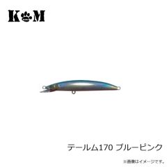 KM工房　テールム170 イワシ