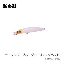 KM工房　テールム170 イワシ