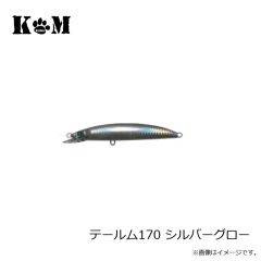 KM工房　テールム170 イワシ