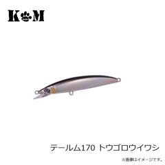 KM工房　テールム170 イワシ
