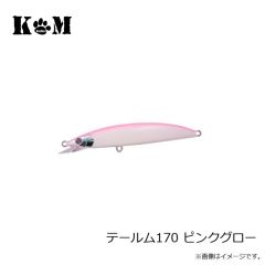 KM工房　テールム170 イワシ