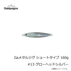 ガラパゴス　Gaメタルジグ ショートタイプ 160g #13 グローヘッドシルバー