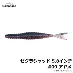 ガラパゴス　ゼグラシャッド 5.8インチ #09 アヤメ
