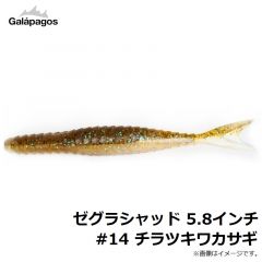 ガラパゴス　ゼグラシャッド 5.8インチ #14 チラツキワカサギ