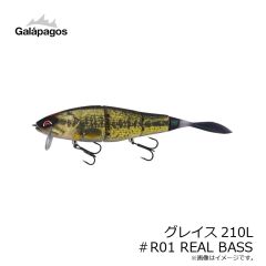 ガラパゴス　グレイス210L #R01 リアルバス