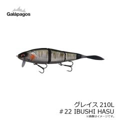 ガラパゴス　グレイス210L #22 イブシハス